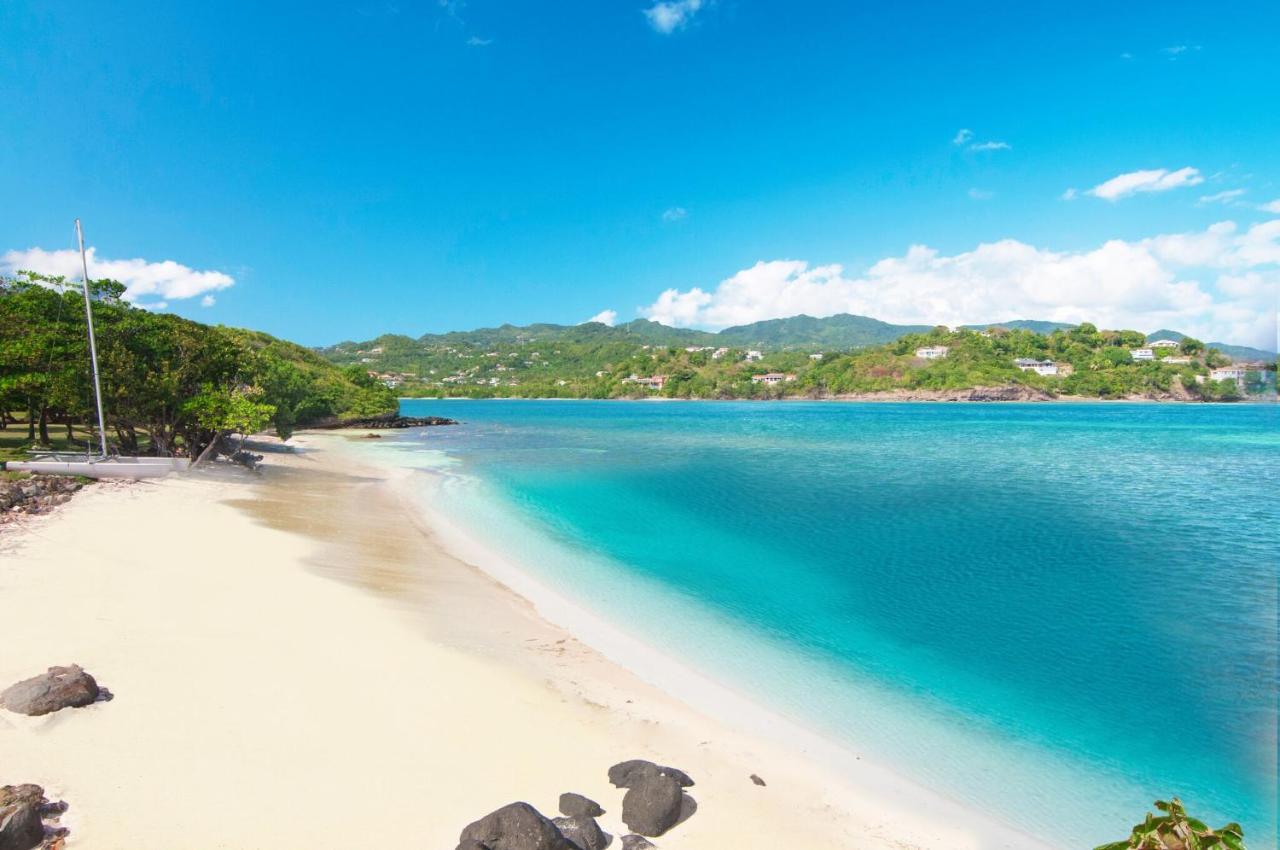 473 Grenada Boutique Resort St. George's Zewnętrze zdjęcie