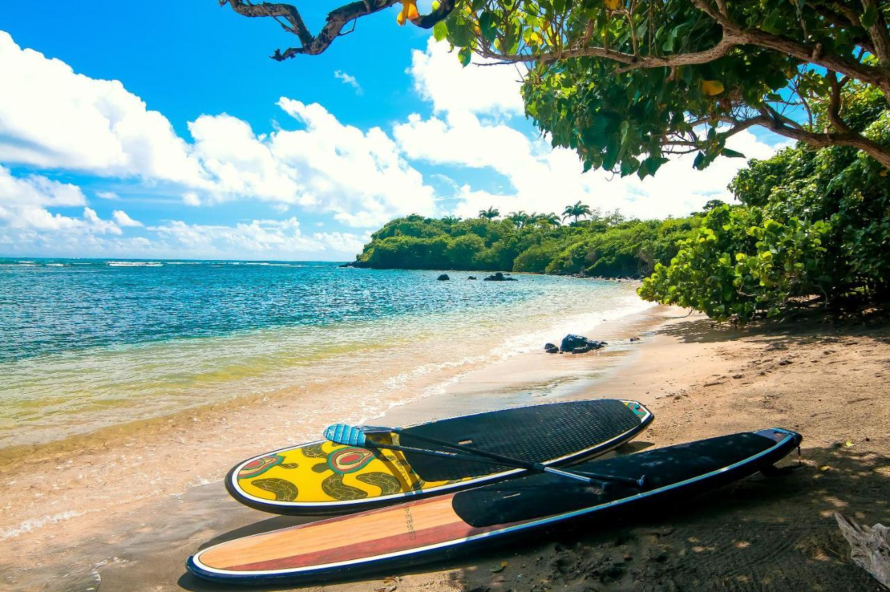 473 Grenada Boutique Resort St. George's Zewnętrze zdjęcie