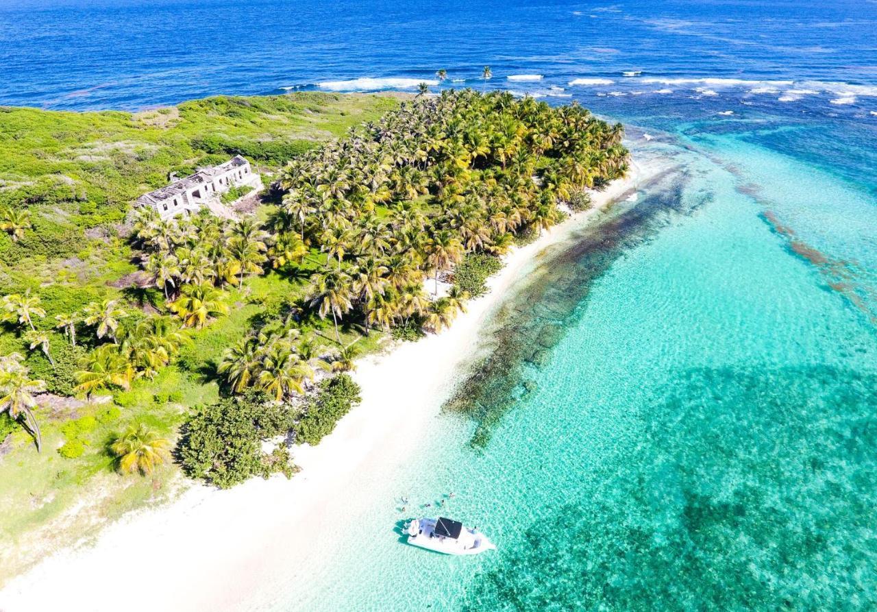 473 Grenada Boutique Resort St. George's Zewnętrze zdjęcie